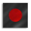 flag_mech